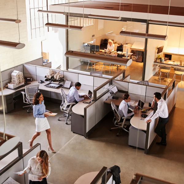 Workplaces and Offices picture