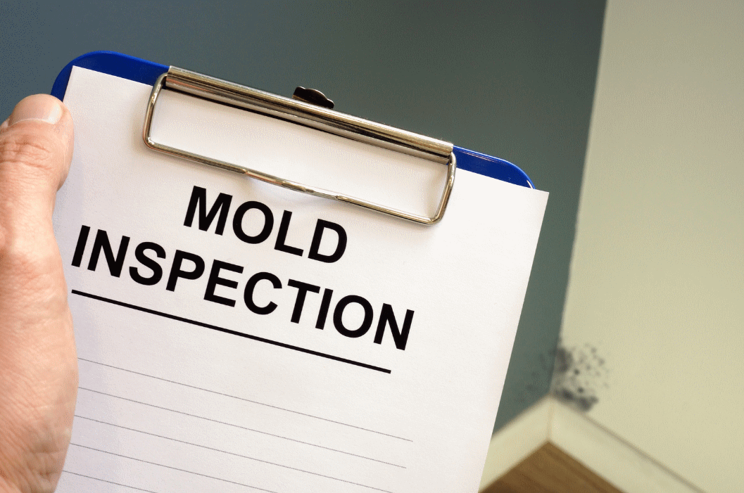 Mold Assessment picture